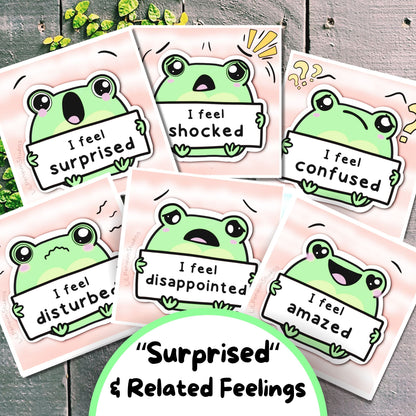 Frog Feelings and Energy Levels Bundle (Digital) - PRIVATE PRACTICE USE