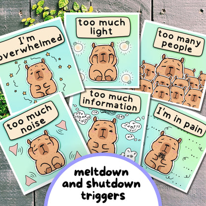 Capybara Communication Cards and Affirmations Bundle (Autism, ADHD, Anxiety, Hidden Disabilities)