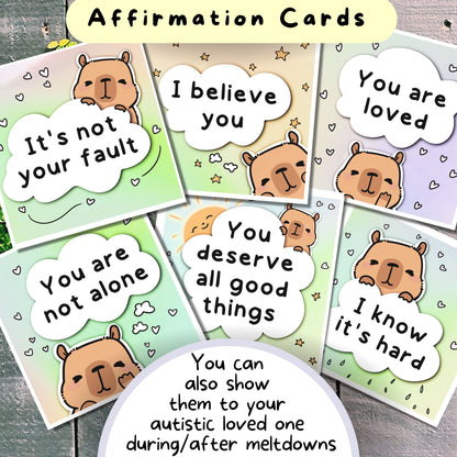 Capybara Communication Cards and Affirmations Bundle (Autism, ADHD, Anxiety, Hidden Disabilities)