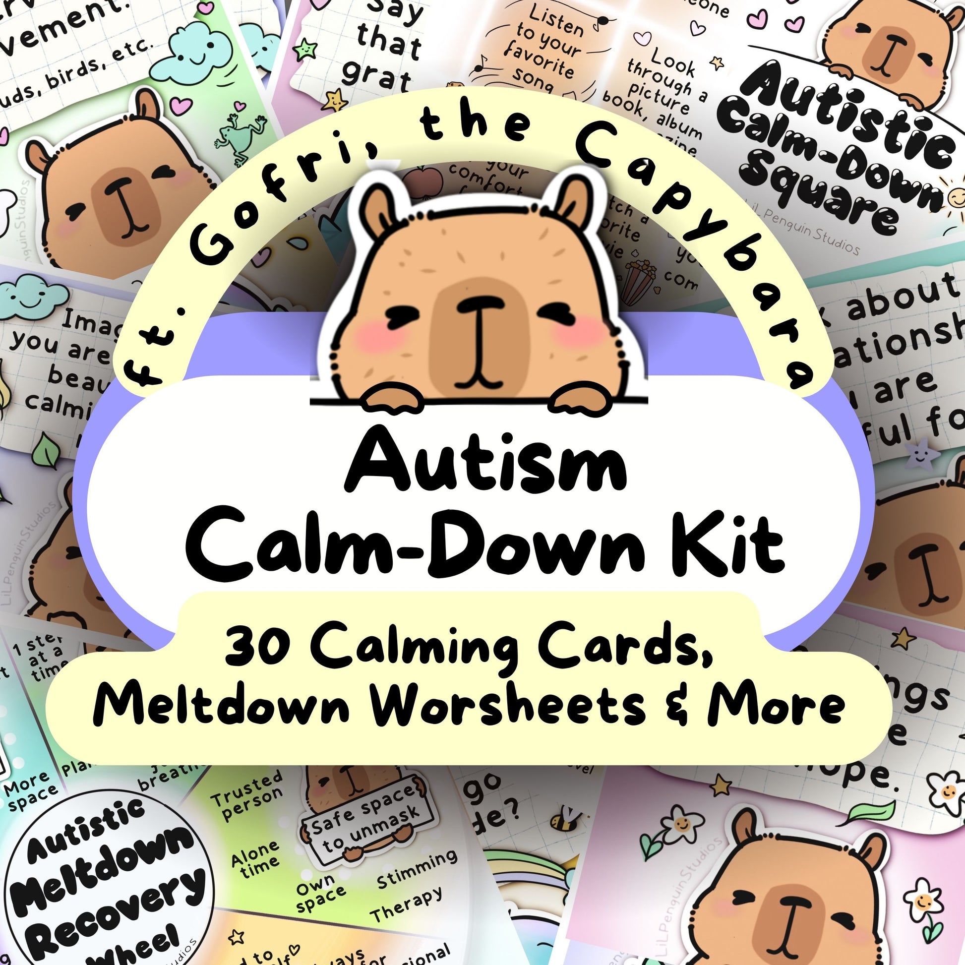 Capybara Autism Calming Kit, Autistic Meltdown Prevention, Burnout Recovery, Anxiety Relief Cards, ADHD Printable, Therapist Print, ASD PDF