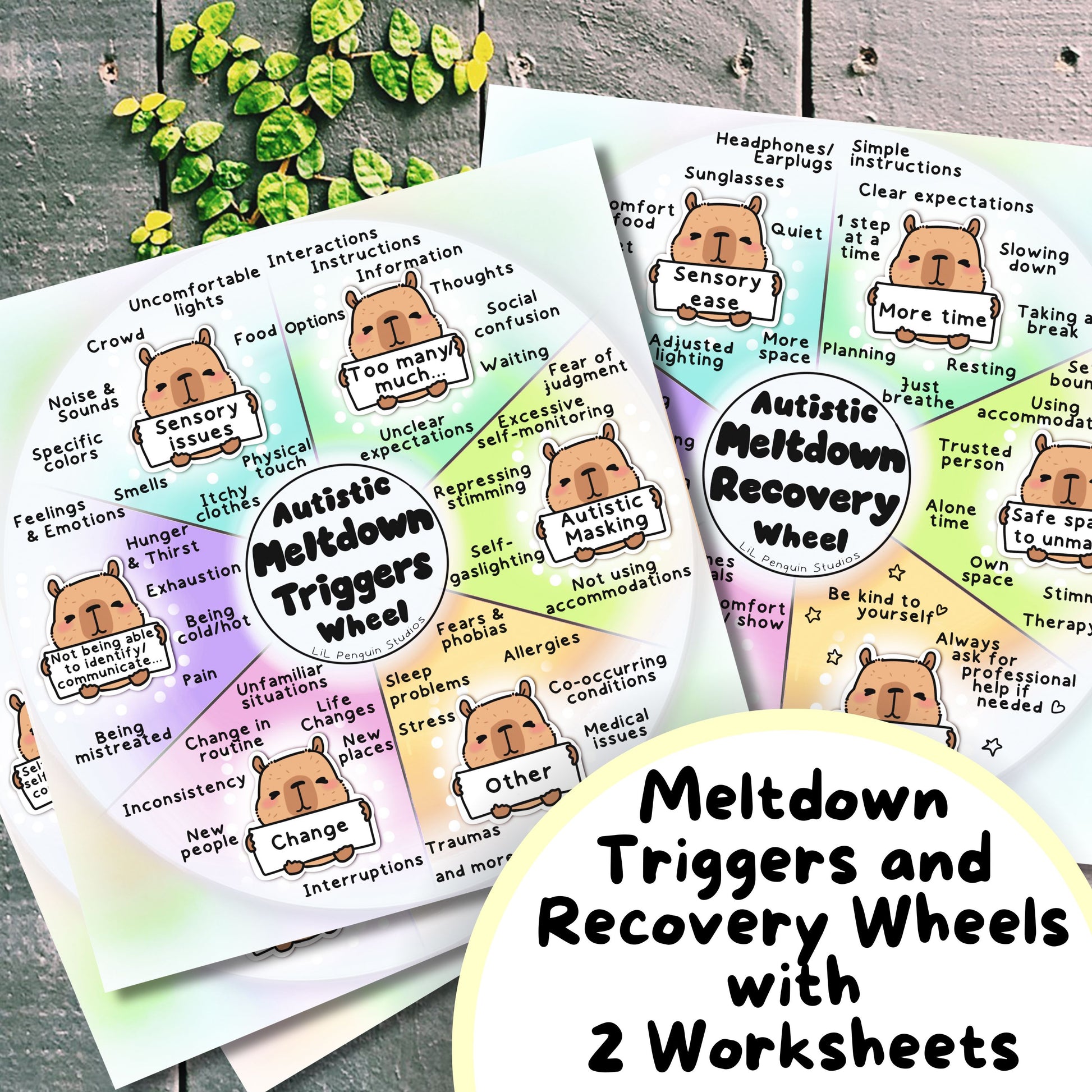 Capybara Autism Calming Kit, Autistic Meltdown Prevention, Burnout Recovery, Anxiety Relief Cards, ADHD Printable, Therapist Print, ASD PDF