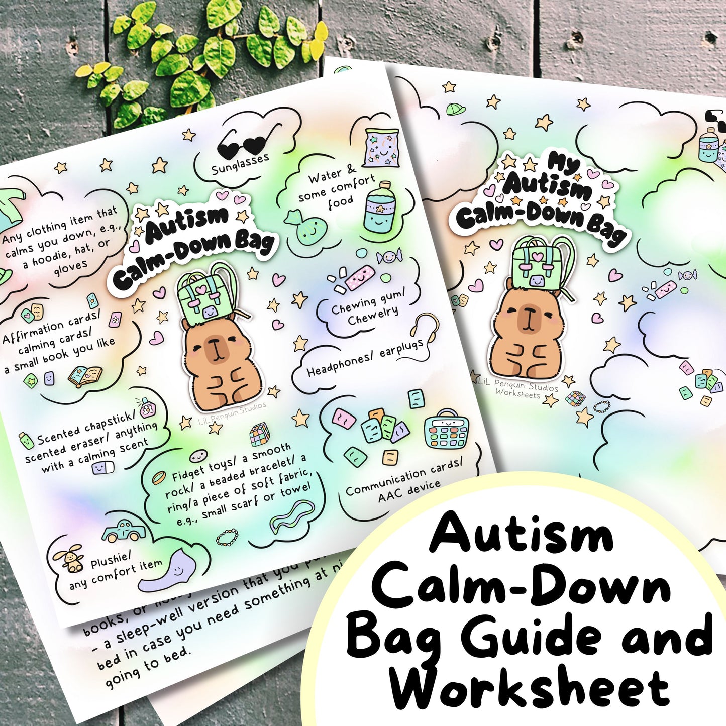 Capybara 'Autism Calm-Down Bag' Poster and Worksheet