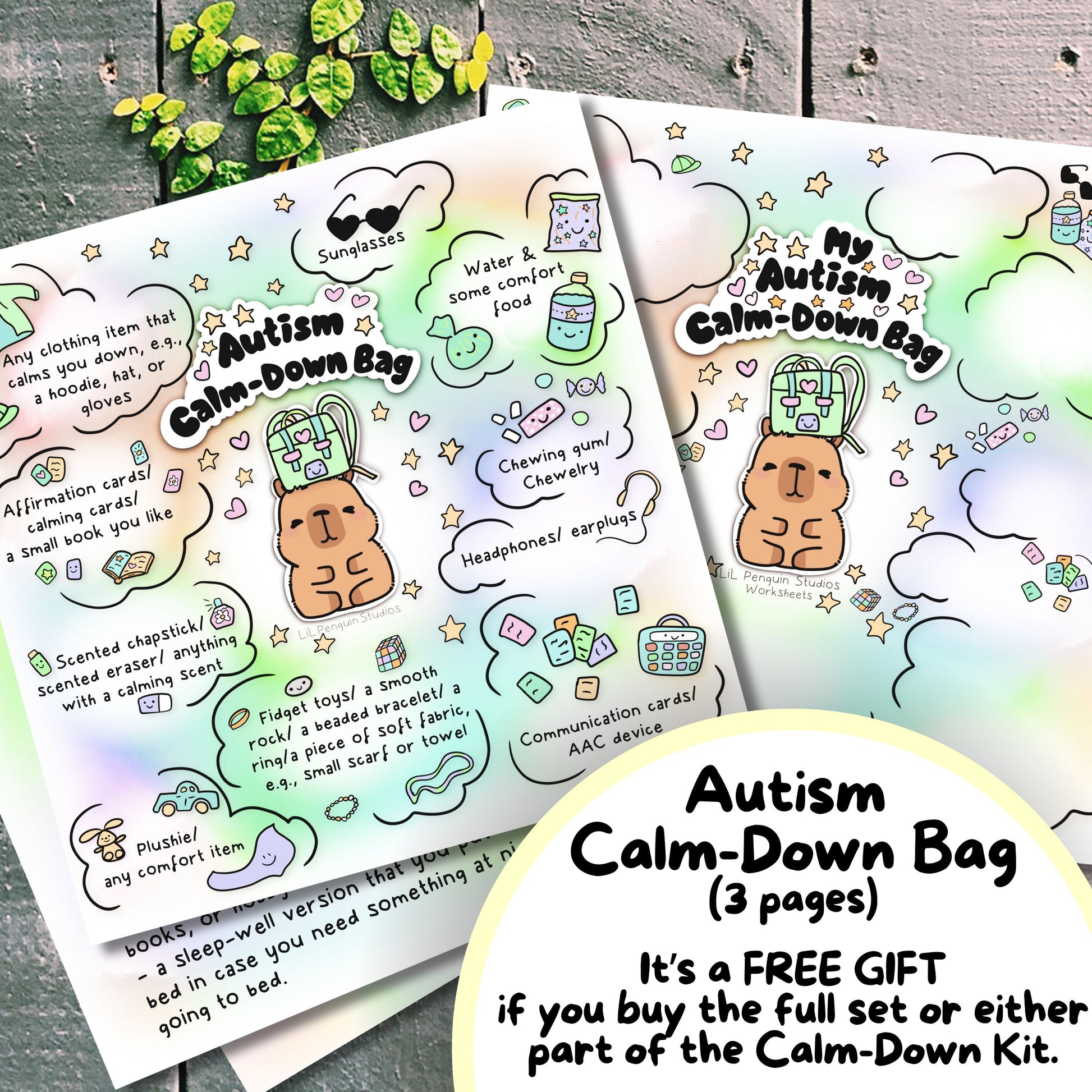 Capybara Autism Calming Kit, Autistic Meltdown Prevention, Burnout Recovery, Anxiety Relief Cards, ADHD Printable, Therapist Print, ASD PDF