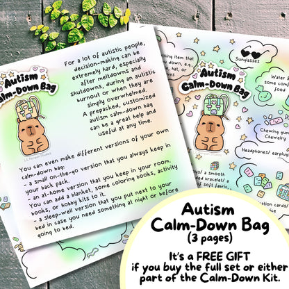 Capybara Autism Calming Kit, Autistic Meltdown Prevention, Burnout Recovery, Anxiety Relief Cards, ADHD Printable, Therapist Print, ASD PDF