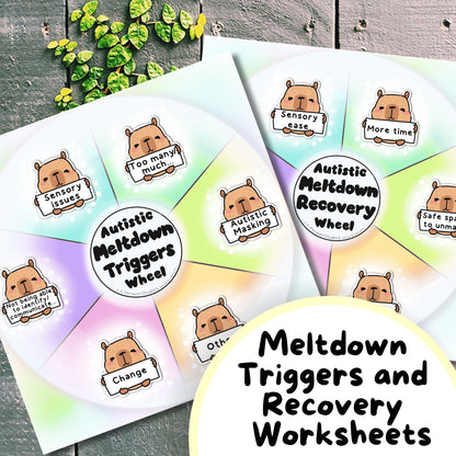 Capybara Autism Calming Kit, Autistic Meltdown Prevention, Burnout Recovery, Anxiety Relief Cards, ADHD Printable, Therapist Print, ASD PDF