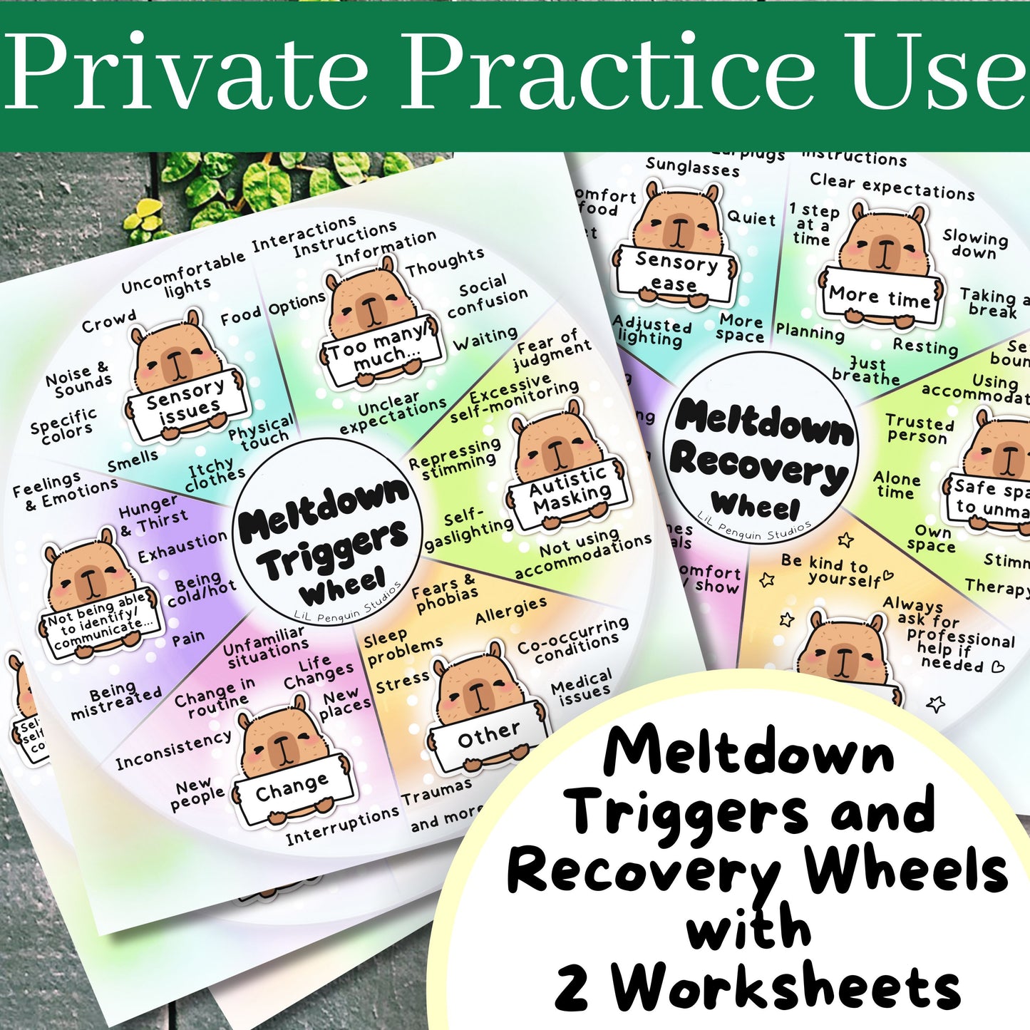 4-Pc Meltdown Poster and Worksheet Set (Printable) - PRIVATE PRACTICE USE